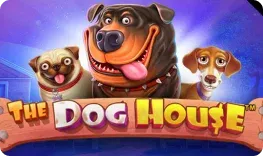 Spinational – The Dog House
